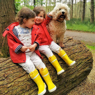 Start-Rite Big Puddle, Yellow water resistant wellies 9934_5